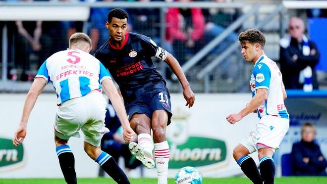 势表现帮助 势表现帮助