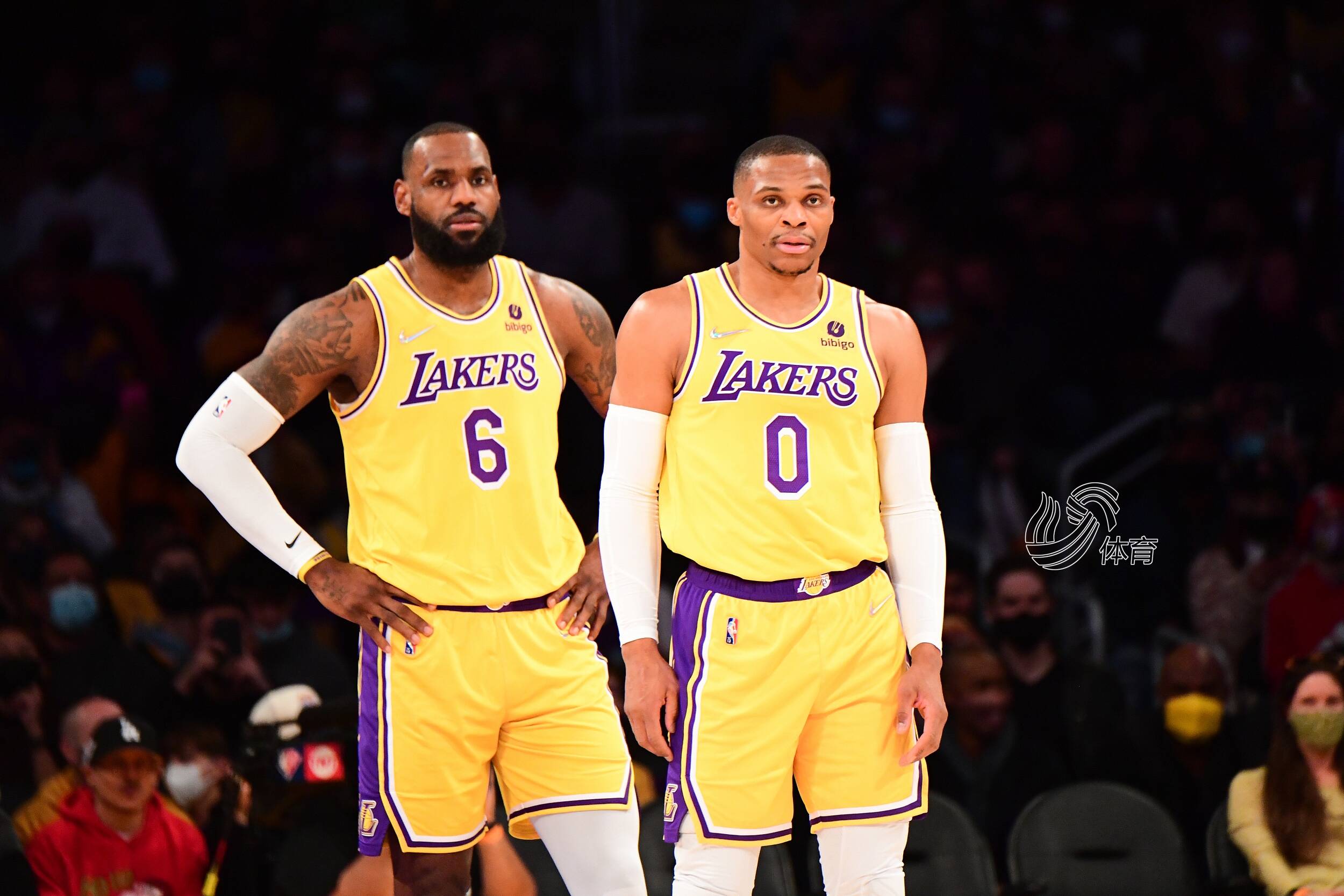 戈洛夫金以 戈洛夫金以